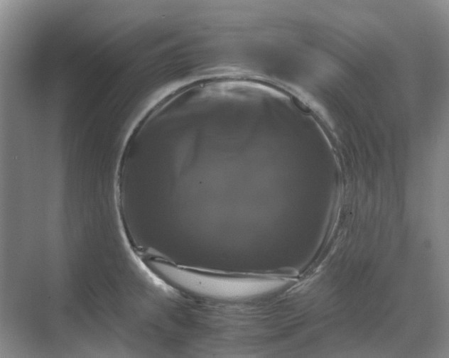 X0000070171239200606091432