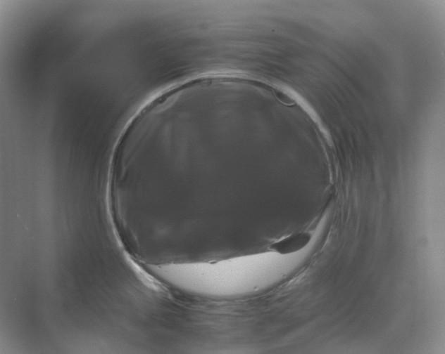 X0000070171245200606091432