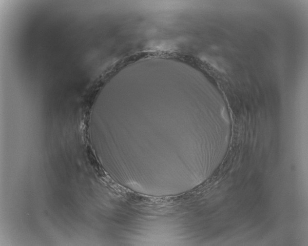 X0000070171254200606091432