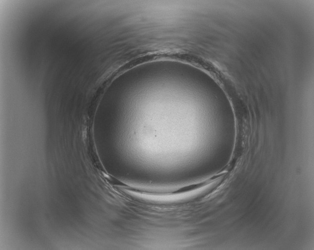 X0000070171257200606091431