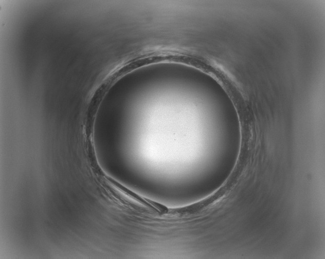 X0000070171261200606091431