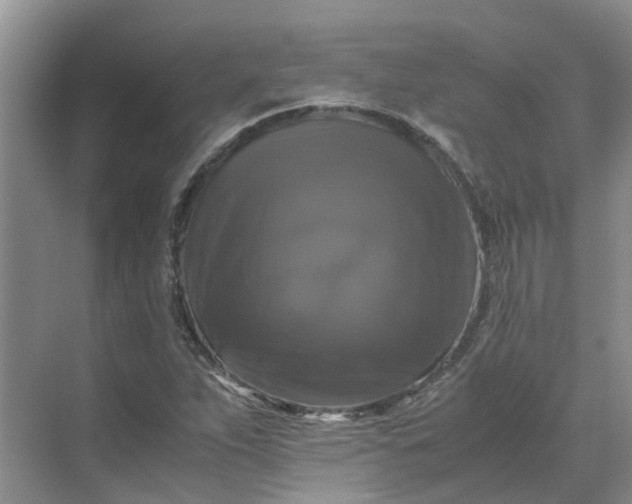X0000070171263200606091431