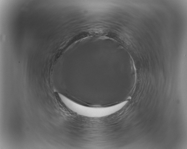 X0000070171297200606091430
