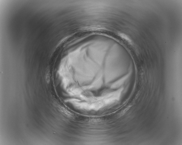 X0000070171306200606091430