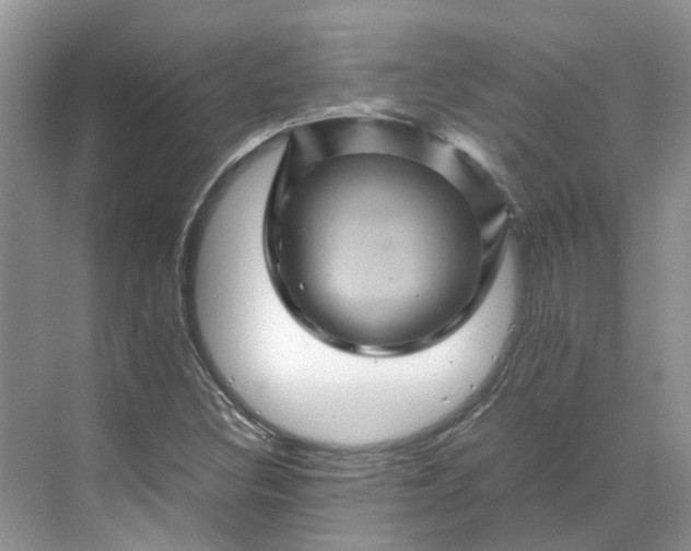 X0000070171308200606091430