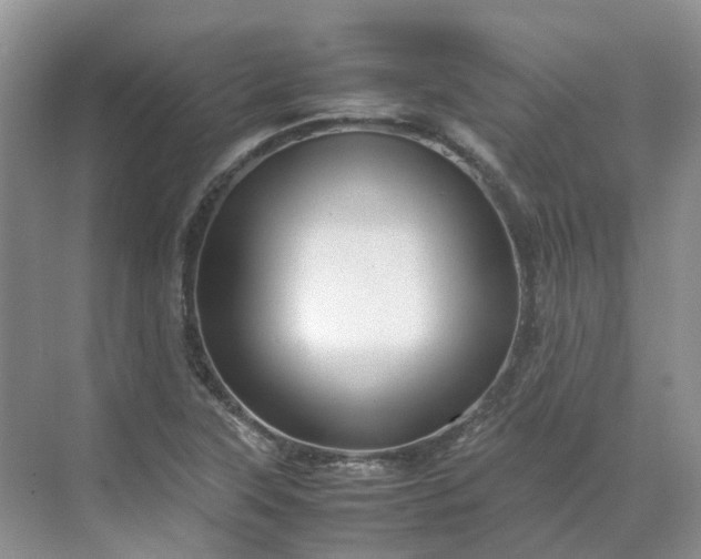 X0000070171315200606091430