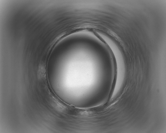 X0000070171321200606091430
