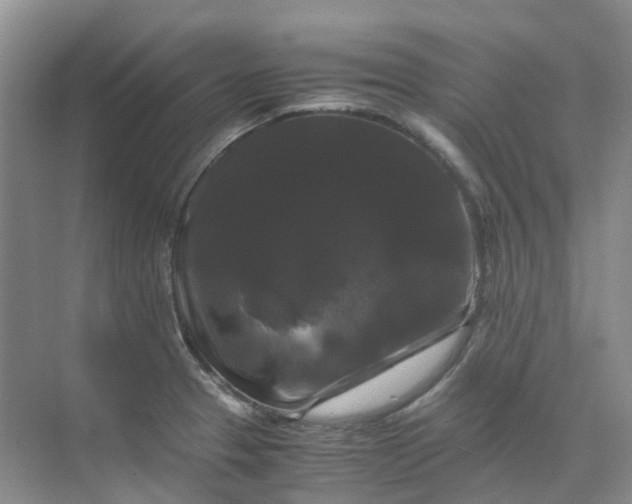 X0000070171329200606091431