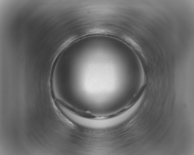 X0000070171330200606091431