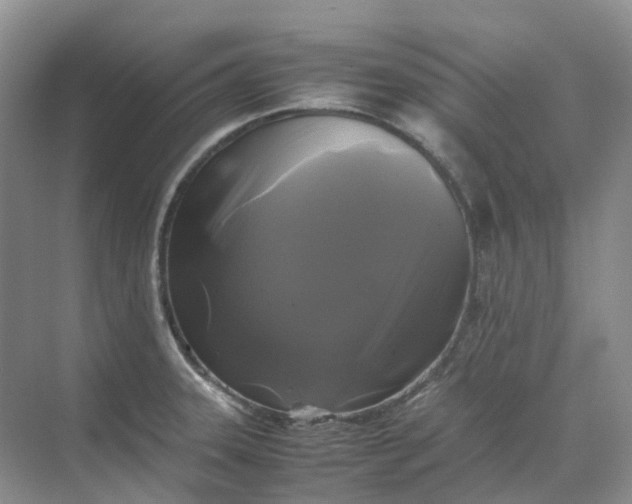 X0000070171331200606091431
