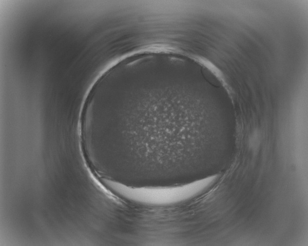 X0000070171335200606091431