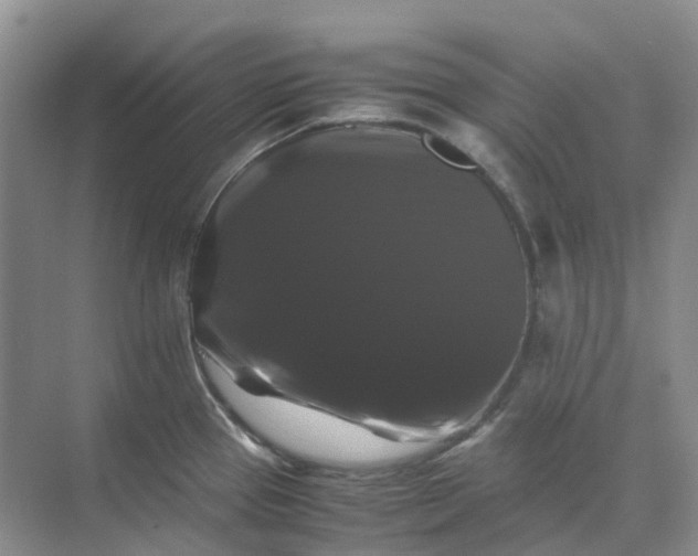 X0000070171337200606091431