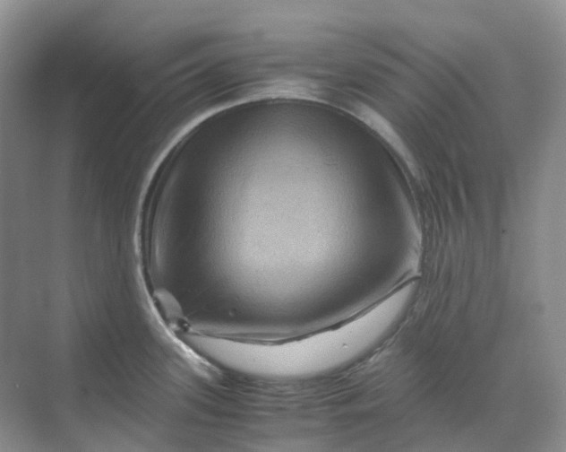 X0000070171339200606091431