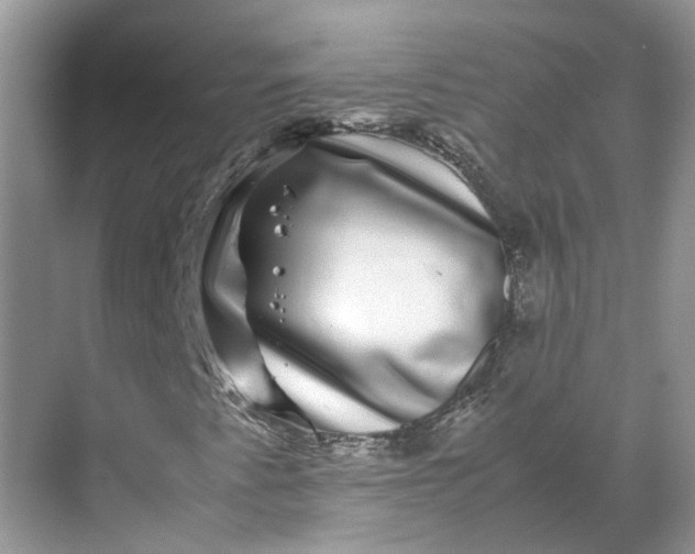 X0000070171345200606091430