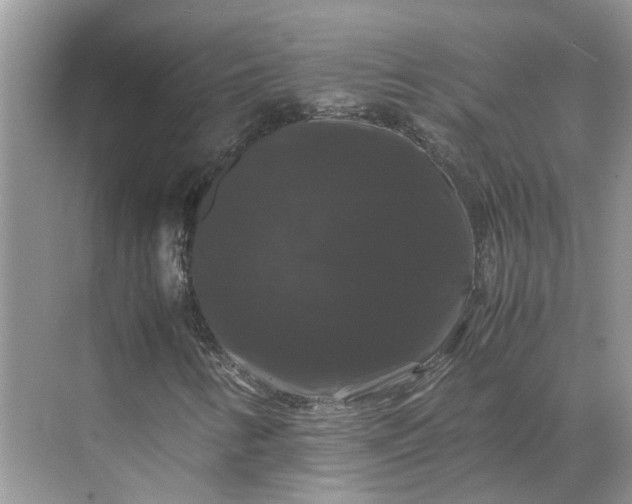 X0000070171346200606091430