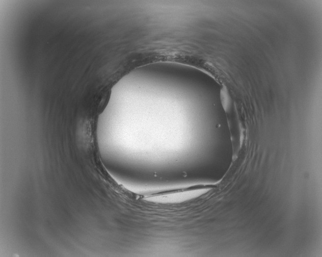 X0000070171347200606091430