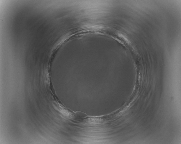 X0000070171354200606091430