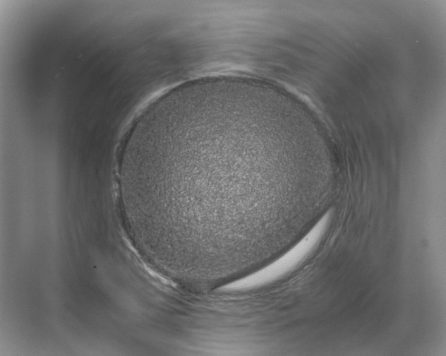 X0000070171363200606091430