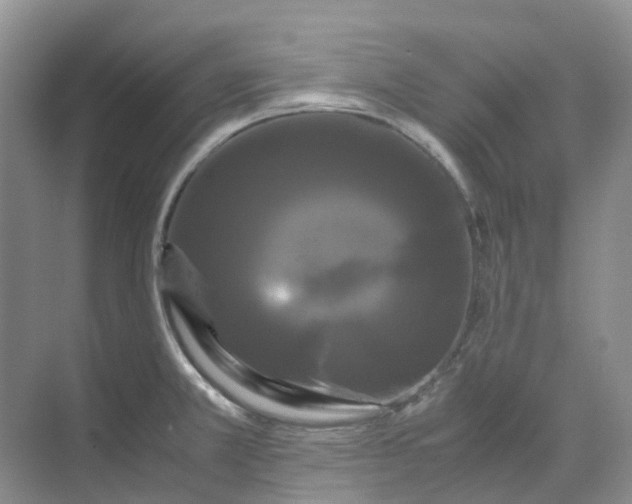 X0000070171381200606091429
