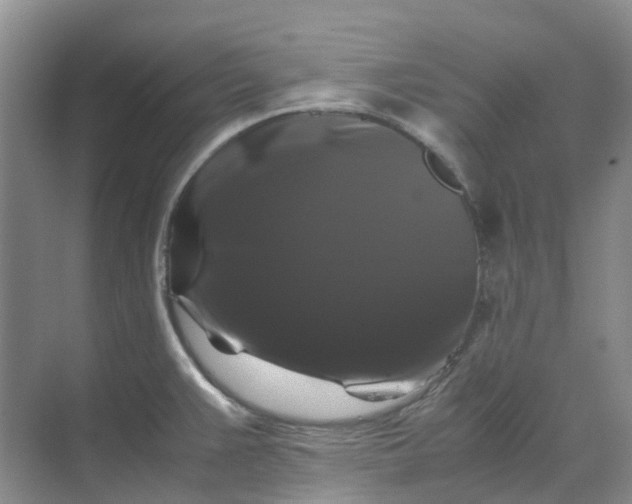 X0000070171383200606091429