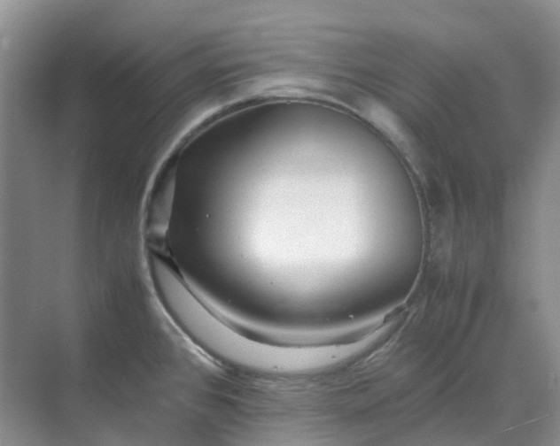 X0000070171384200606091429
