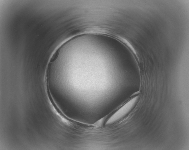 X0000070171387200606091429