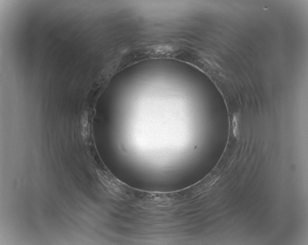 X0000070171395200606091428