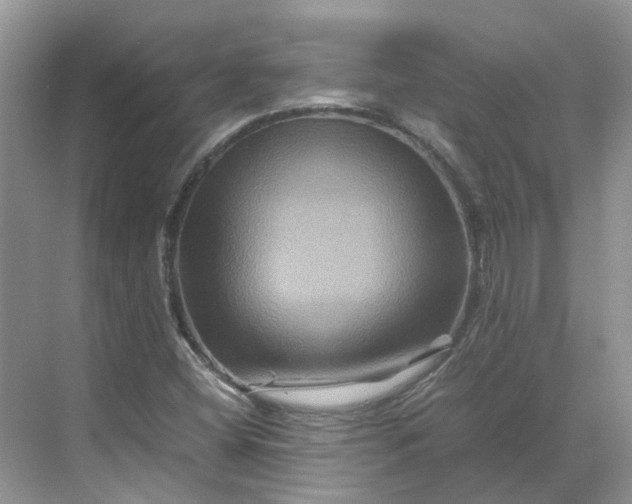 X0000070171404200606091429