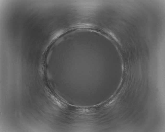 X0000070171405200606091429