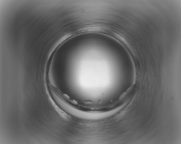 X0000070171426200606091429