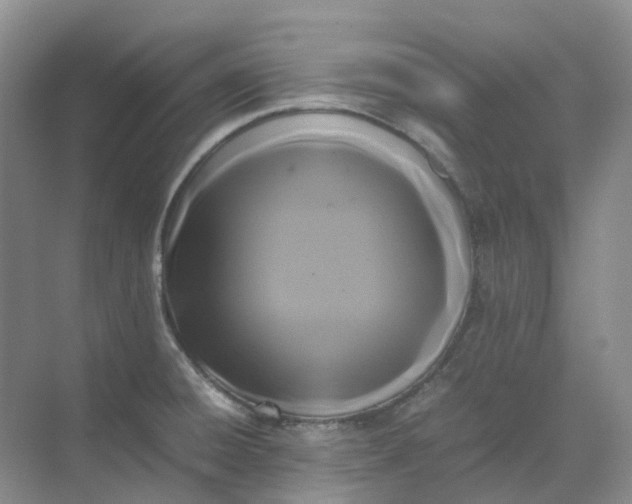 X0000070171428200606091429