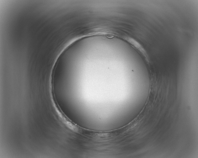 X0000070171431200606091429