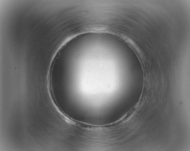 X0000070171432200606091429