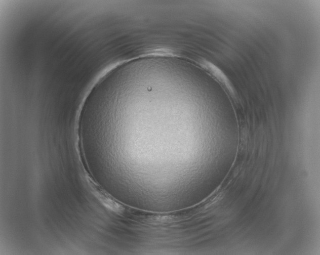 X0000070171435200606091429