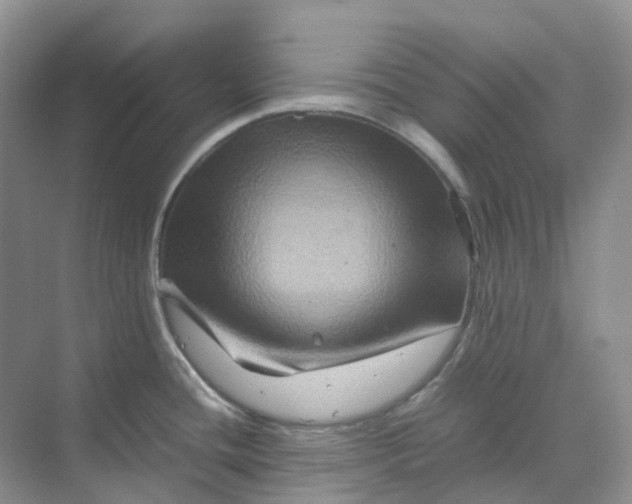 X0000070171436200606091429