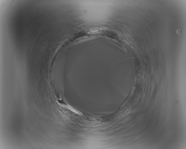 X0000070171441200606091428