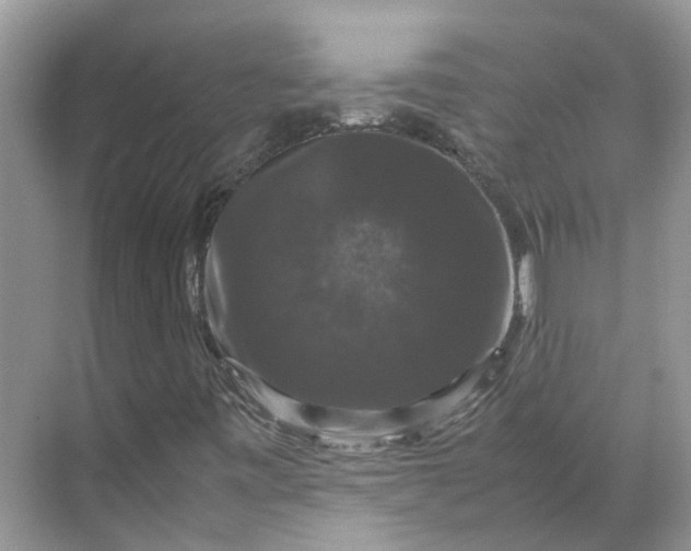 X0000070171443200606091428