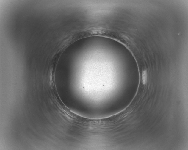 X0000070171444200606091428