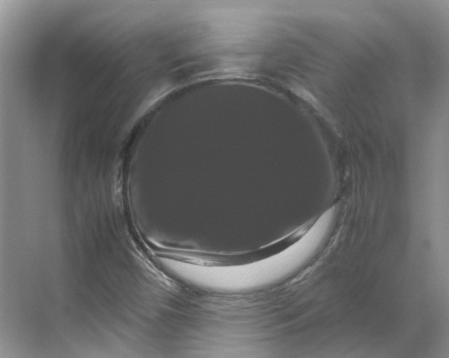 X0000070171450200606091428