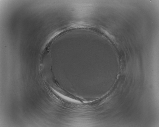 X0000070171453200606091428