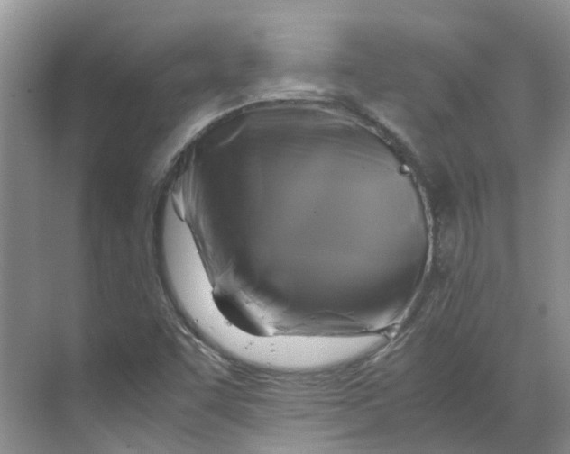 X0000070171455200606091428