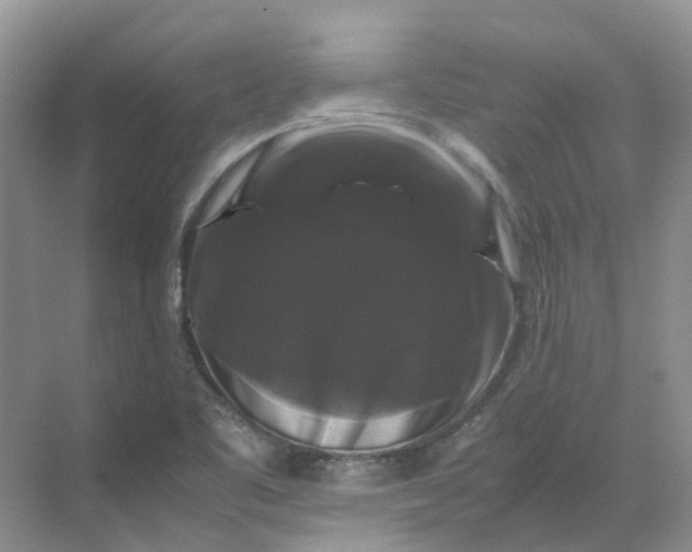 X0000070171461200606091428