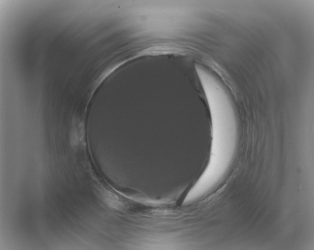X0000070171465200606091428