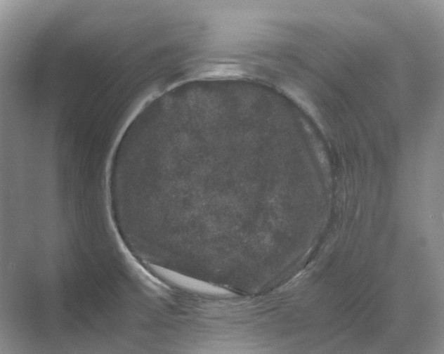 X0000070171475200606091428