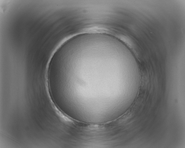 X0000070171478200606091428