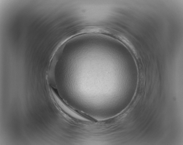 X0000070171481200606091428