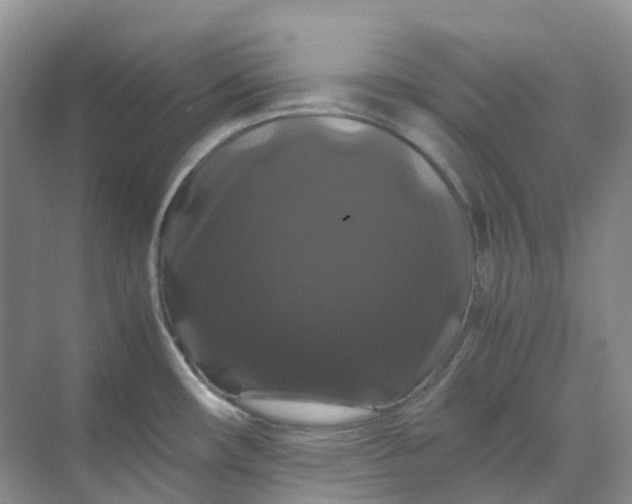 X0000070171482200606091428