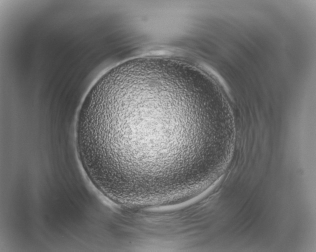 X0000070171483200606091428