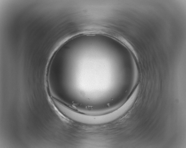 X0000070171485200606091428