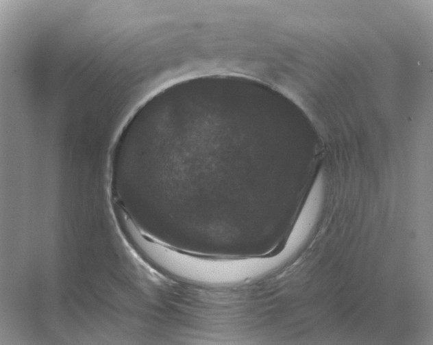 X0000070171508200606091427